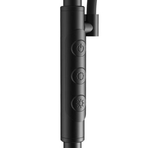 Double Floor Lamp with remote BlitzWill BWL-FL-0001, 36W juodos spalvos - Image 3
