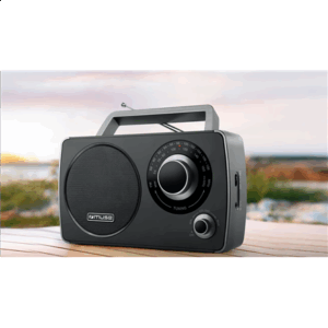 Muse | Portable Radio | M-075 R | AUX in - Image 3