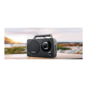 Muse | Portable Radio | M-075 R | AUX in - Image 4