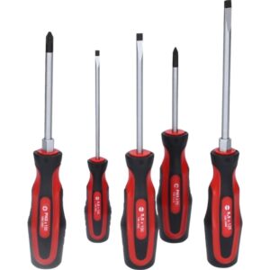 5 dalių atsuktuvų rinkinys KS TOOLS 159.0005 - Image 3