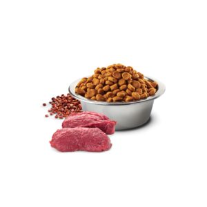FARMINA N&D Quinoa Dog Skin&Coat Venison&Coconut Adult Medium&Maxi - sausas ėdalas šunims - 7 kg - Image 3