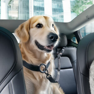 Spigen PS100 Universal Car Seat Belt Holder for pets juodos spalvos - Image 24