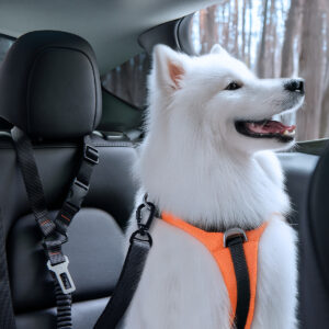 Spigen PS100 Universal Car Seat Belt Holder for pets juodos spalvos - Image 25