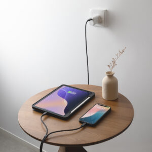 Native Union Belt Cable (USB-C - USB-C) 2m, cosmos - Image 3