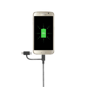 Native Union Belt kabelis Universal (USB-A - USB-C, Micro USB, Lightning) 2m, zebra - Image 2