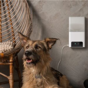 Petcube Bites 2 Lite - Image 14