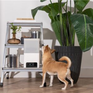 Petcube Bites 2 Lite - Image 5