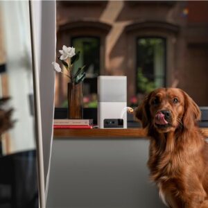 Petcube Bites 2 Lite - Image 16