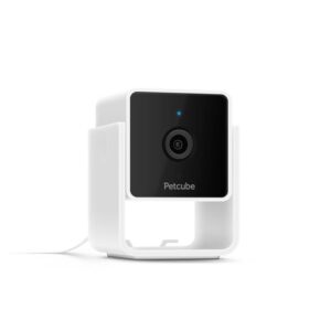 PetCube Cam