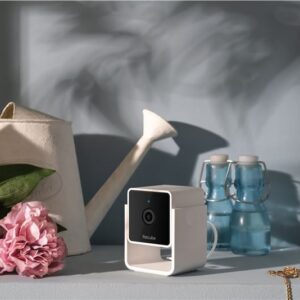 PetCube Cam - Image 14