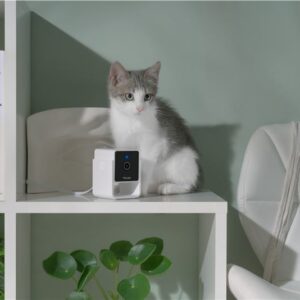 PetCube Cam - Image 8