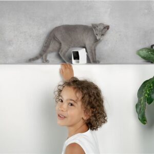 PetCube Cam - Image 19