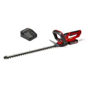 EINHELL GYVATVORIŲ ŽIRKLĖS GE-CH 1855/1 Li KIT 2,5Ah