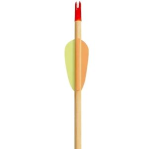 Poe Lang Target Wooden 30" D-027A-B1 Medinės strėlės 5 vnt. - Image 2
