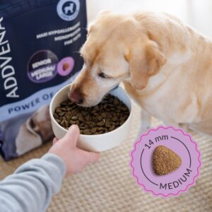 ADDVENA Power of Nature Senior Medium/Large Lamb - sausas maistas šunims - 10kg - Image 3