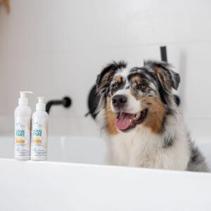 VETEXPERT Clinic Care Hypo & Omega - šampūnas šunims ir katėms - 250 ml - Image 2