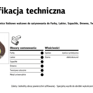 KLINGSPOR LAMELELINIS ŠLIFAVIMO DISKAS 100x100x19 gr.80