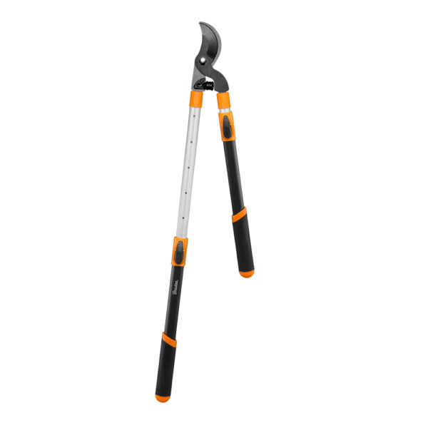 KT-V1250