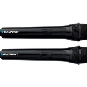Kolonėlė BLAUPUNKT PB12DB - Image 2