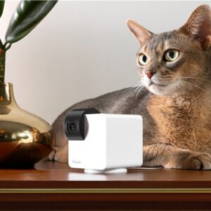 PetCube Cam 360 - Image 5