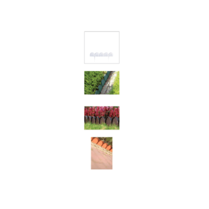 PROSPERPLAST SODO KRAŠTAS 10m GARDEN LINE RUDAS