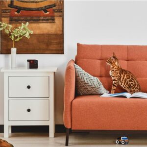 WRL CAMERA PLAY 2/PP20US PETCUBE - Image 7