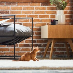 WRL CAMERA PLAY 2/PP20US PETCUBE - Image 9