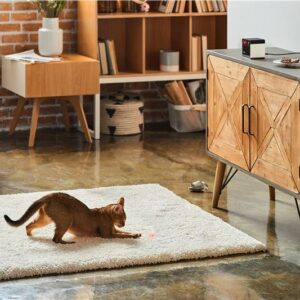 WRL CAMERA PLAY 2/PP20US PETCUBE - Image 10