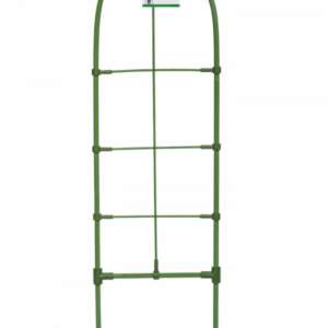 BRADAS ATRAMA AUGALAMS 75cm