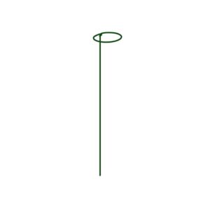 BRADAS AUGALŲ ATRAMA SU ŽIEDU 7cm / 90cm