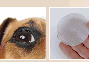 FERPLAST NATURÉ EYE WIPES - Akų servetėlės katėms ir šunims - 120 vnt. - Image 2