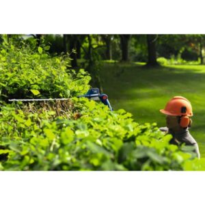 Akumuliatorinės gyvatvorių žirklės BOSCH GHE18V-50 FP Solo - Image 3