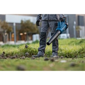 Akumuliatorinis lapų pūstuvas BOSCH Biturbo GBL 18V-750 Solo - Image 6