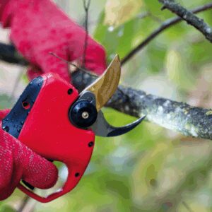 Akumuliatorinis sekatorius FELCO 834W - Image 2