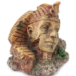 Dekoracija veidas - Image 2