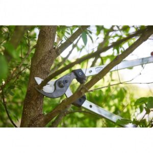 Genėjimo žirklės FELCO 211-60 - Image 2