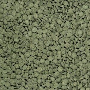 Dajana Mini spirulina wafers 80ml/10g - Image 2
