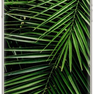 Dėklas OVERPRINT BABACO PLANTS 002 Apple iPhone 13 Pro Max GREEN