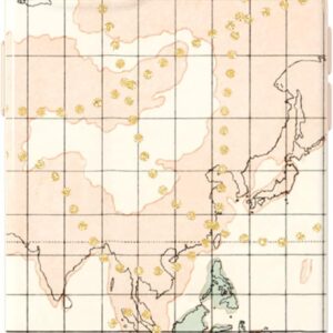 T21-9349 Tech21 EvoArt skirtas Apple iPhone 13 - Wonderers Map