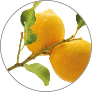 Medisana aromatinė esencija Lemon