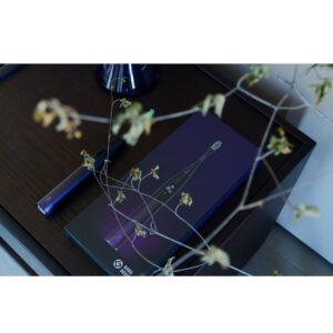 Oclean elektrinis dantų šepetėlis X Pro Purple