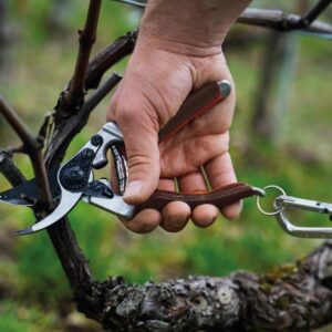 Sekatorius FELCO 8 Elite - Image 4