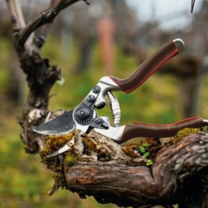 Sekatorius FELCO 8 Elite - Image 5