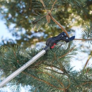 Teleskopinis sekatorius FELCO 290 - Image 4