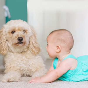 Temperatūros ir drėgmės jutiklis Feelspot FS-TH03W WiFi, Tuya - Image 5