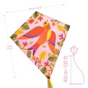 Aitvaras Djeco, 70 cm x 60 cm, įvairių spalvų - Image 2