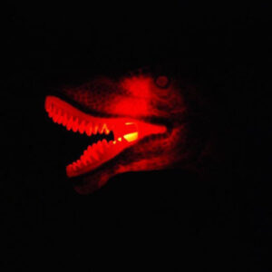 Interaktyvus valdomas dinozauras T-Rex RC 0333 - Image 6