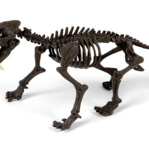 Clementoni Smilodon sukonstruojamas tigro skeletas ZA3713 - Image 2