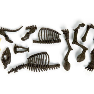 Clementoni Smilodon sukonstruojamas tigro skeletas ZA3713 - Image 5