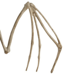 Šikšnosparnio skeletas - dekoracija 30cm Malatec 22005 - Image 4